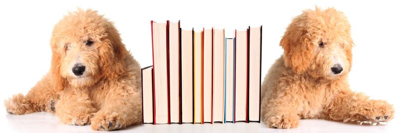 The Role of Consumers in Responsible Packaging and Cardboard Disposal